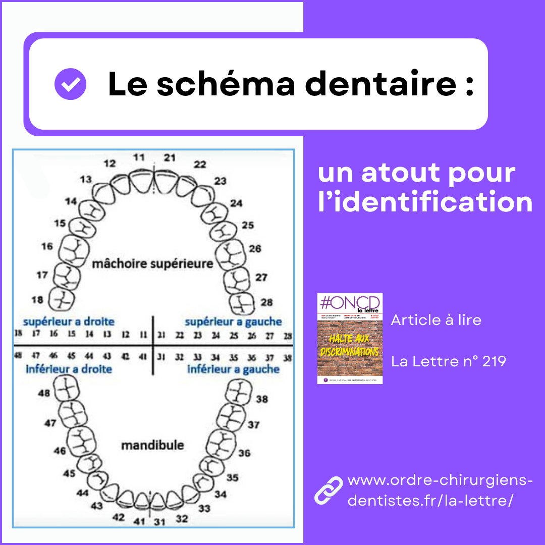 Le schéma dentaire, un atout pour l’identification